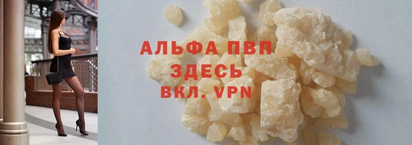 гидра Бородино
