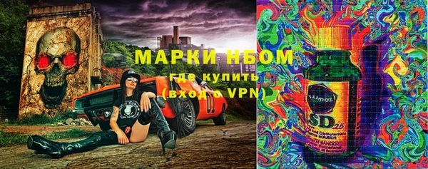 гидра Бородино