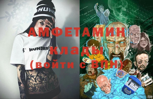 гидра Бородино