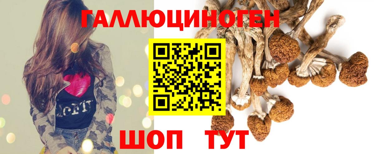 Медногорск  Псилоцибиновые грибы Psilocybe  Галлюциногенные грибы GOLDEN TEACHER  Вход с VPN 